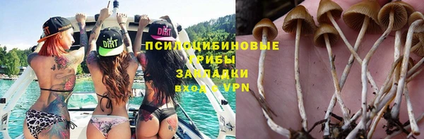 ешки Бронницы